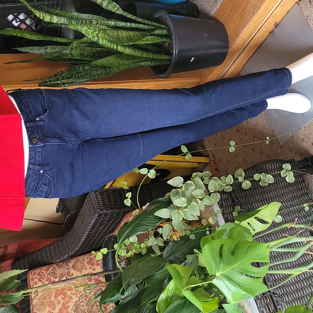 Calvin Klein stretch skinny Jeans Size 6 regular length